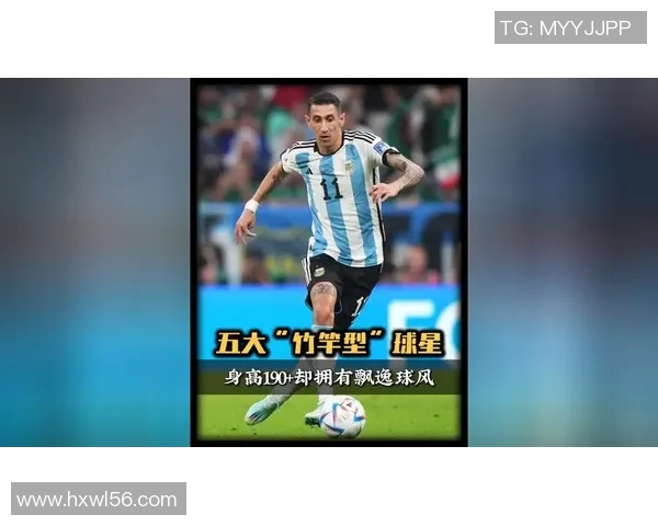 足球明星中身高出众的球员有哪些他们的身高和成就介绍